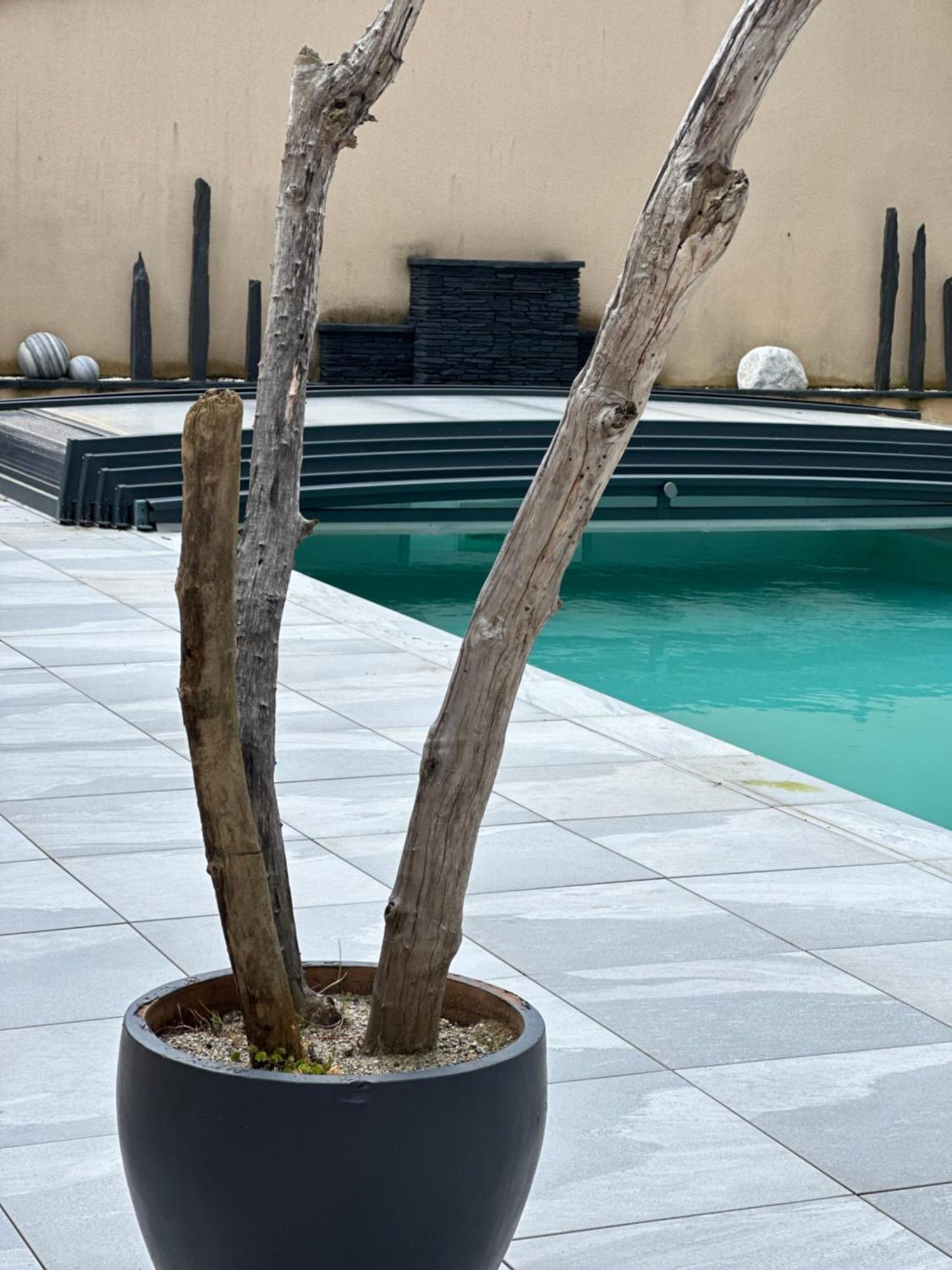 Maison D'Hotes Chic A Beauzelle Εξωτερικό φωτογραφία