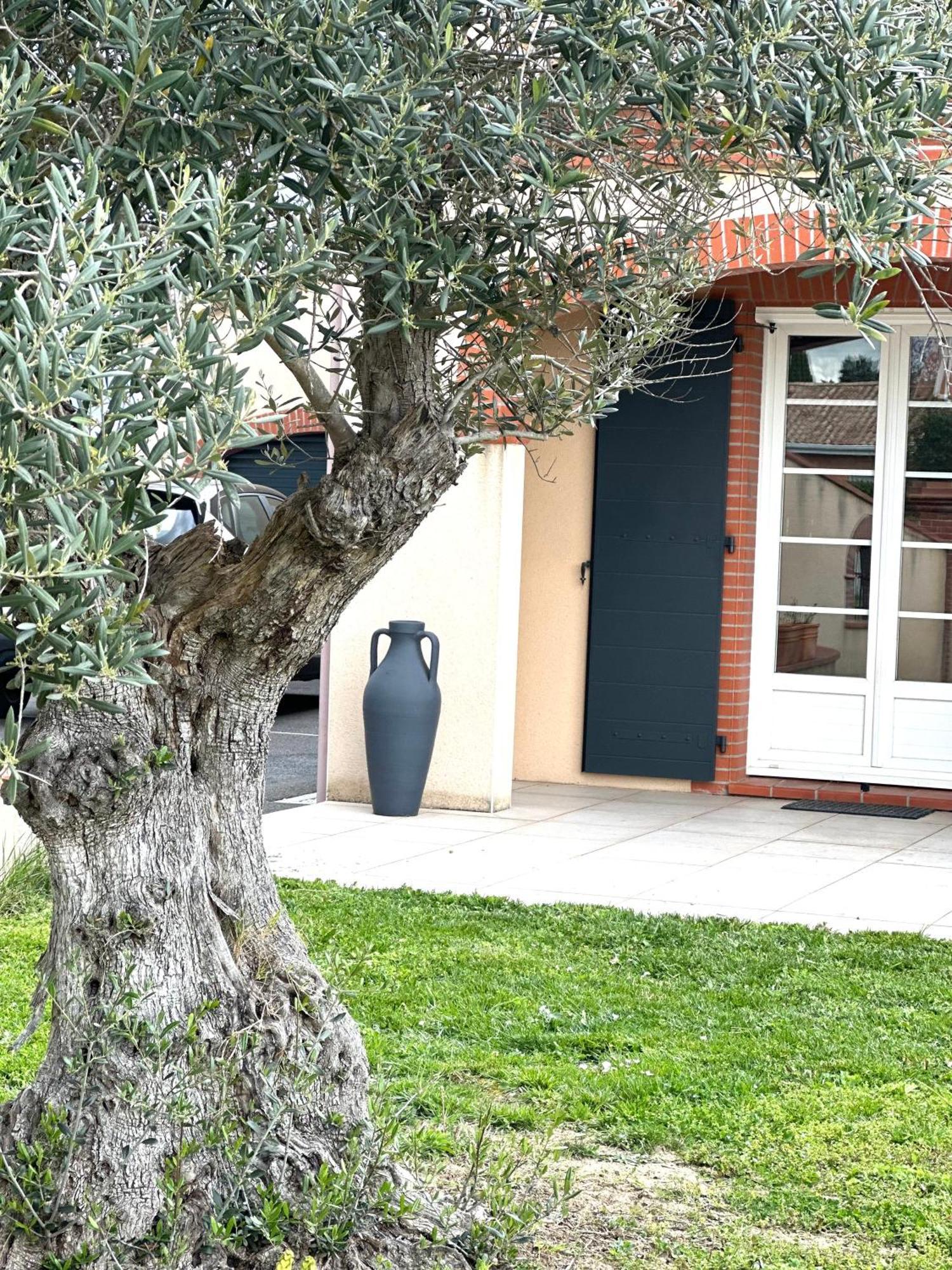 Maison D'Hotes Chic A Beauzelle Εξωτερικό φωτογραφία